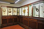 la specola zoologie 8-2017 0695